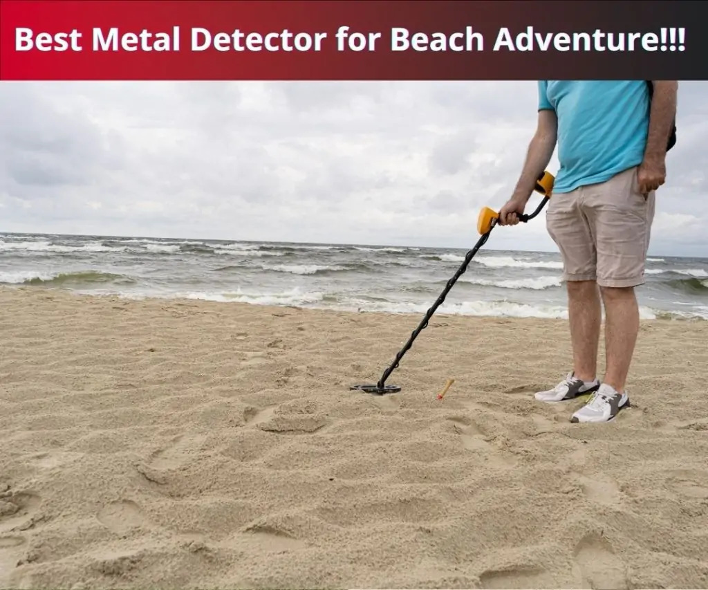 Best Metal Detector for Beach Adventure