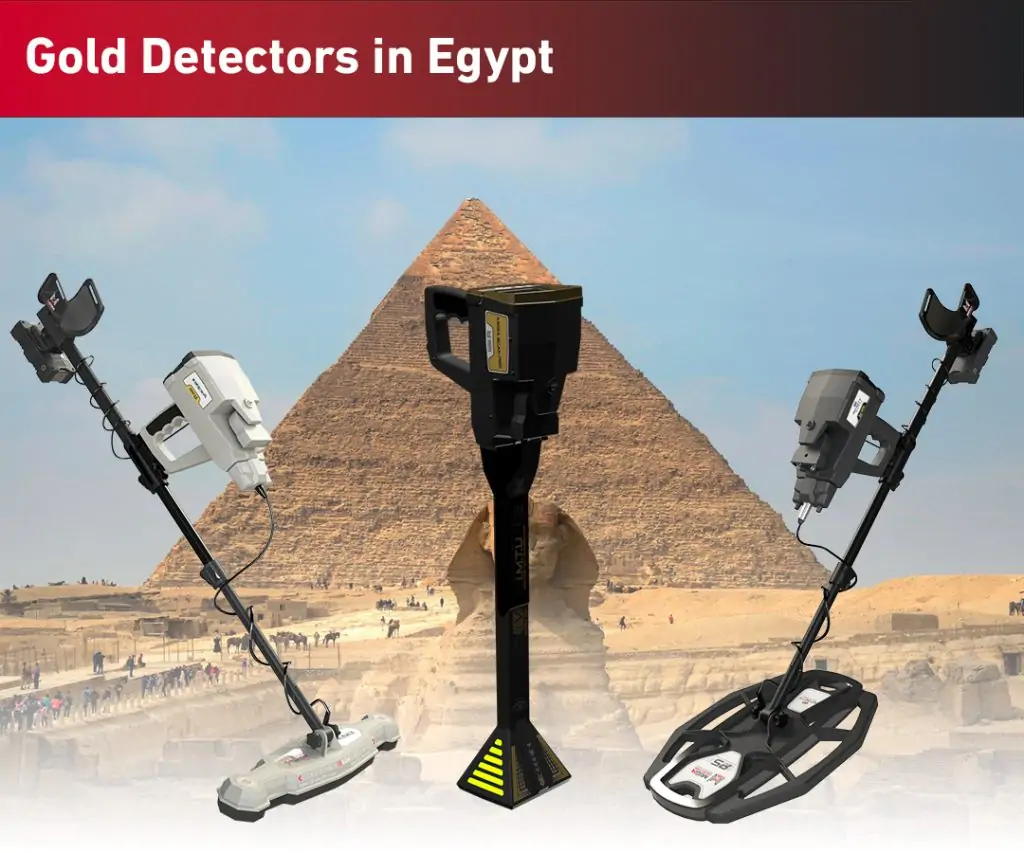 Gold detectors in Egypt