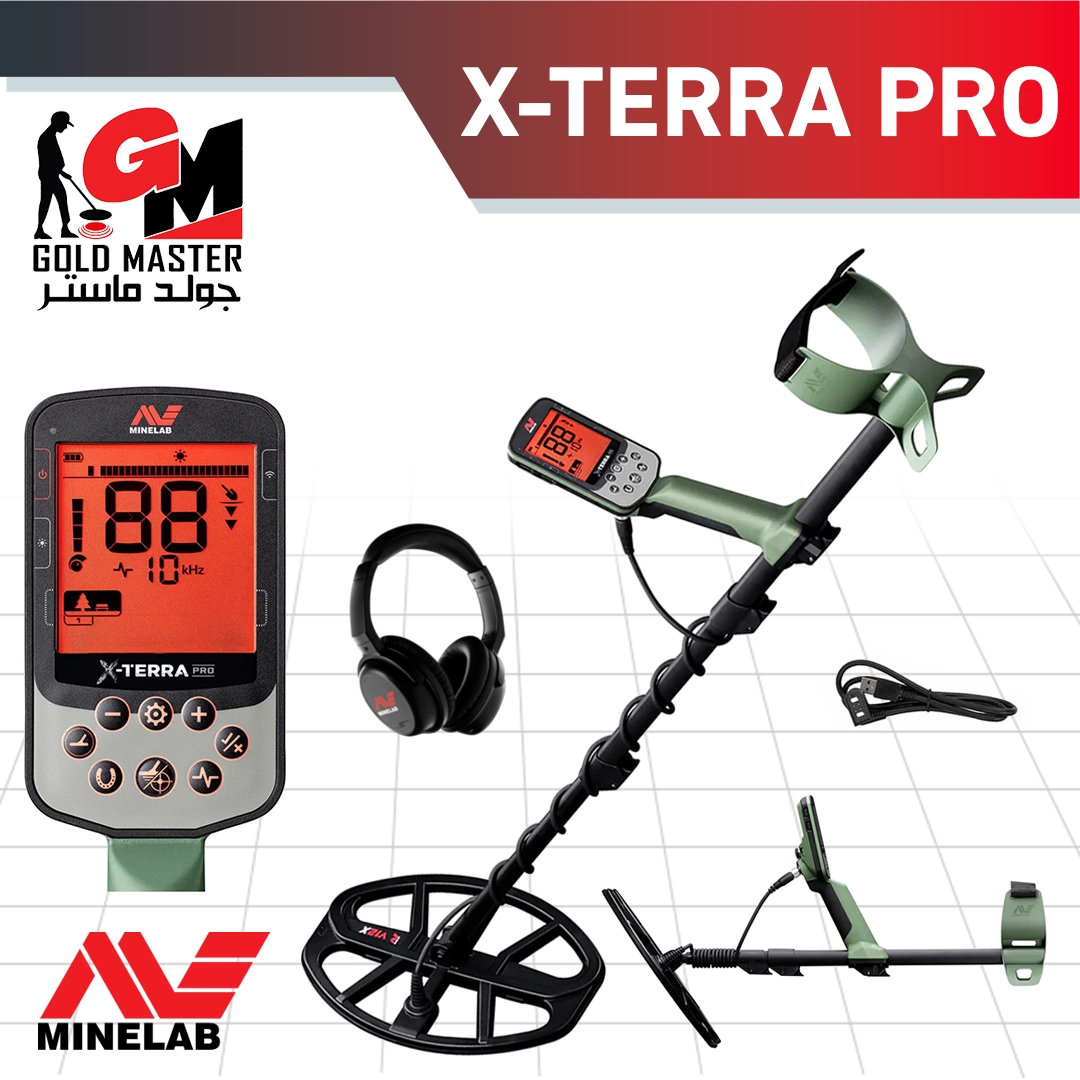 The cheapest gold detector
